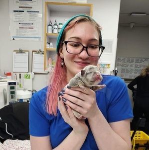 Meet your Posher, Jenna